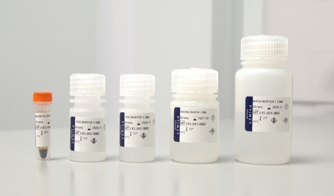 kit image 2 resized.jpg