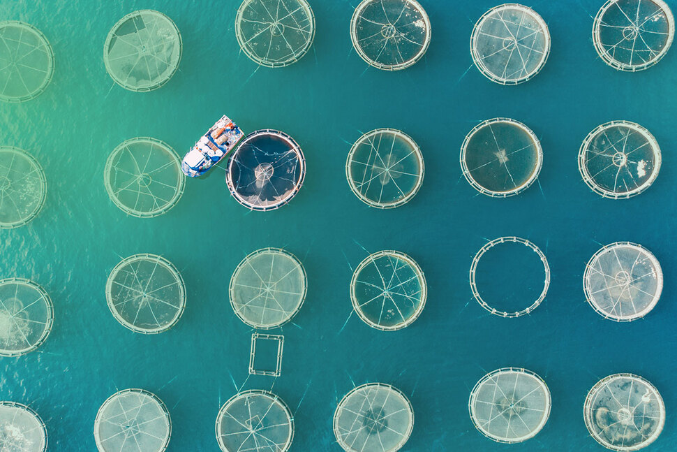 aquaculture-feature-img.jpg