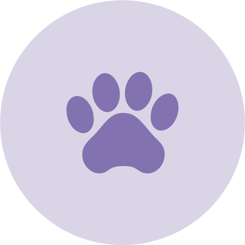 01ae27a8-1ad2-11f0-b049-fa163eeee085.png