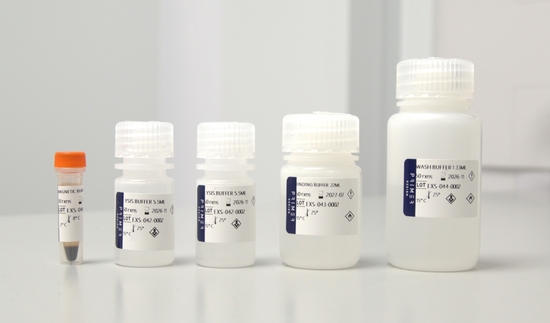 kit image 2 resized.jpg