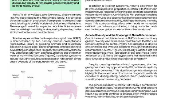 prrsv article international animal health journal.png