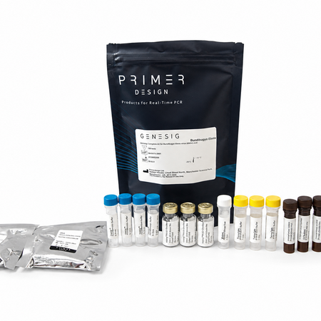 genesig complete kit for bundibugyo ebola virus (bdbv).png
