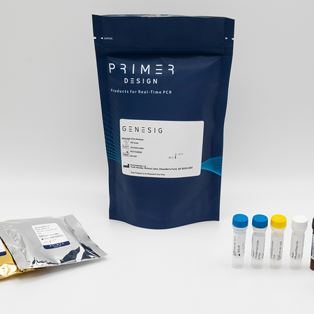 primerdesign- prrsv multiplex.png