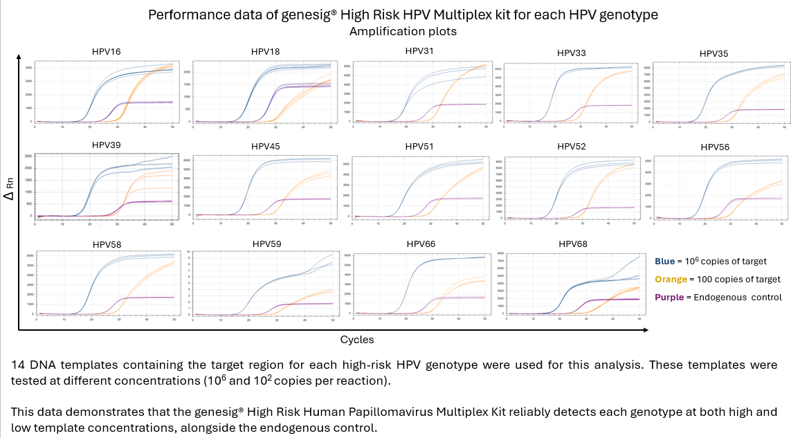 high risk human papillomavirus multiplex kit image.png